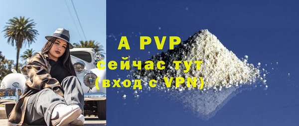 Альфа ПВП Белокуриха