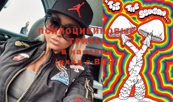 Альфа ПВП Белокуриха