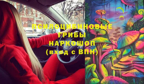 дживик Белоозёрский