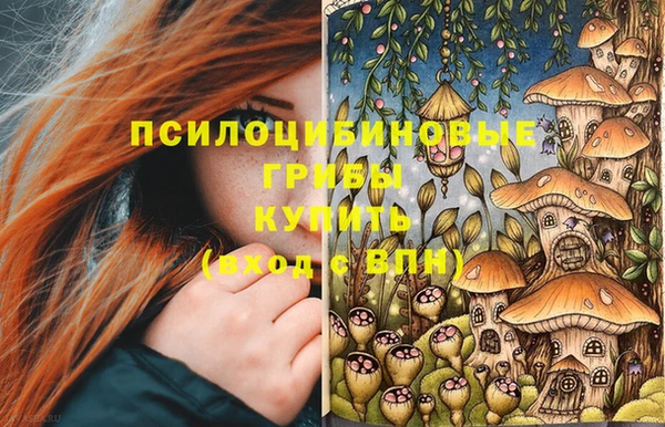 Альфа ПВП Белокуриха